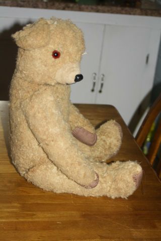 Antique Large Bear 24  Jointed Well Loved Very Old