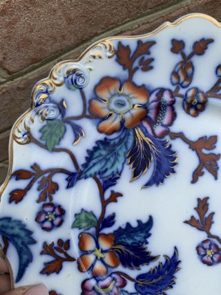 Pr Antique Porcelain Flow Blue Polychrome Flowers Leaves Gold Scroll Rim Plates 5
