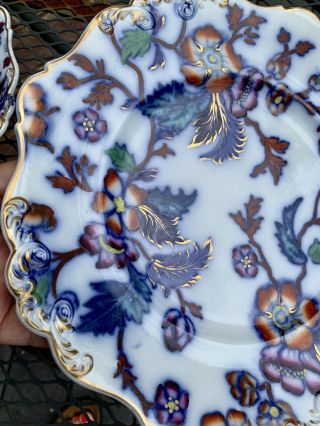 Pr Antique Porcelain Flow Blue Polychrome Flowers Leaves Gold Scroll Rim Plates 7