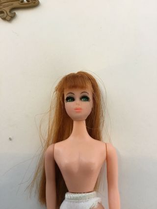 1970 Topper Dawn Doll Glori Doll 6 
