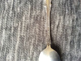 Reed and Barton Sterling Silver Set 10 Demitasse Spoons 3