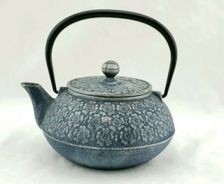 Vintage Japanese Cast Iron Tetsubin Teapot Kettle Sakura Plum Blossom Design