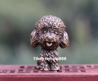 4 Cm Bronze Chinese Zodiac Animal Family Pet Dog Poodle Teddy Bear Dog Sculpture