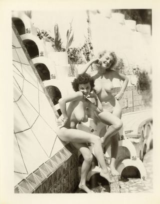 DONNA BUSTY BROWN & Friend 24 Vintage Scanned Images on CD Hollywood Spyder Pool 4