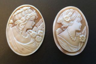 Antique Vintage Shell Cameo Unset Loose Unmounted