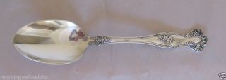 1847 Rogers Bros.  Silverplate Vintage Grape Serving Spoon 8 1/4 " L