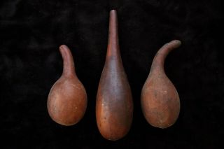 Group Of Three Fine Old Oil Gourds - Papua Guinea