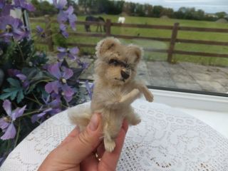 Vintage Antique German Steiff Racy Racoon Toy Mohair Tail Wood Straw Fill Bear