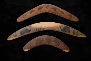 Group Of Three Aboriginal Boomerangs - Flinders Ranges South Australia