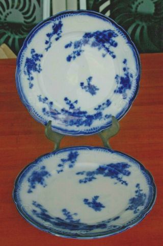 2 • Antique Grindley Marechal Neil • Flow Blue 8” Luncheon Plates • England