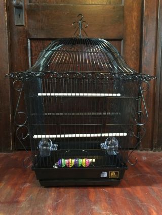 Bird Cage,  Antique,  Bird,  Accessories,  Bird,  Pet,  Black,  Medium Size
