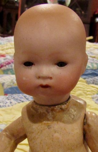 Antique 8 " German Bisque Character Baby Doll W/original Compo Body,  Am 341