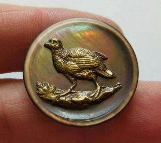 Exceptional Antique Vtg Carved Mop Shell & Metal Picture Button Bird (m)