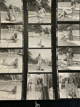 8x10 Contact Sheet 1960 - 70’s Art Posed Nude Model By A Pool By Serge Jacques