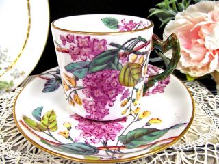 Bodley Antique Tea Cup And Saucer 1880 