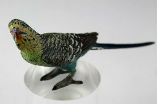 Antique Austrian Cold Painted Vienna Bronze Parakeet Parrot Bird Figurine Nr Edd