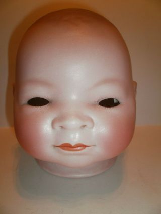 Vintage Grace S.  Putnam Bisque Porcelain Bye - Lo Baby Doll Head - Made In Germany