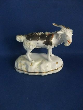 Antique 19thc Rare Staffordshire Pottery Figure Of A Goat C1835 - Ex D.  Rice