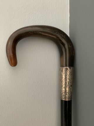 Antique Walking Stick With H/m Silver Collar Chester 1919 & Bovine Horn Handle