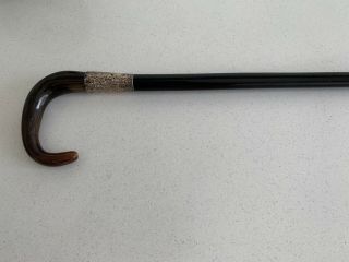 Antique Walking Stick With H/m Silver Collar Chester 1919 & Bovine Horn Handle 6