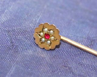 Antique 9ct Gold & Ruby & Seed Pearl Stick Pin
