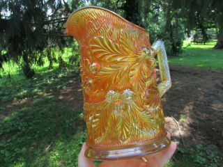 Northwood Acorn Burrs Antique Carnival Art Glass Water Pitcher Marigold A Dandy