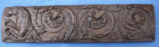 17th Century Carved Panel Of A Hippocampus.  Medieval Gothic Carving