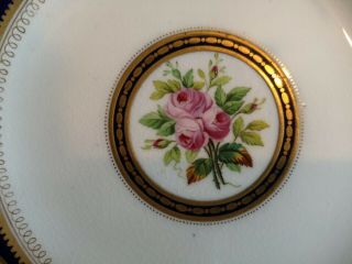Lovely Antique 19th Century Hand Painted Flowers Porcelain Plate.  23cm 6