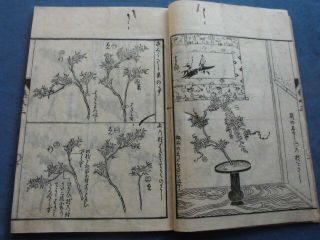 Japanese Woodblock Print Book Ikebana Japanese Flower Arrangement B Edo