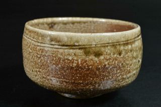 S9764: Japanese Shigaraki - Ware Youhen Pattern Tea Bowl Green Tea Tool
