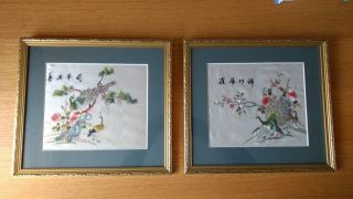 (2) Vintage Antique Chinese Silk Embroidery Panels.  Framed.  Peacocks