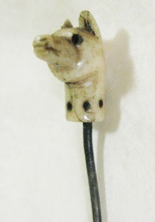 Antique Georgian Carved Tie Stick Pin Dog / Fox Head