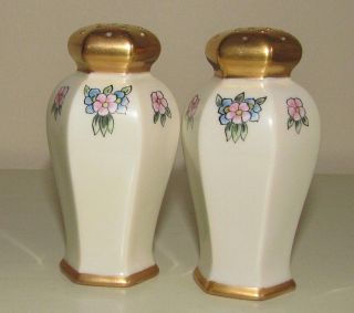 Vintage Rs Germany Hand Painted Fine Porcelain Salt & Pepper Shakers