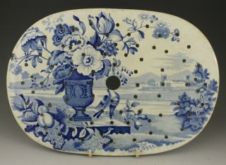 Antique Pottery Pearlware Blue Transfer Roman Vase Pattern 13.  5 " Drainer 1825