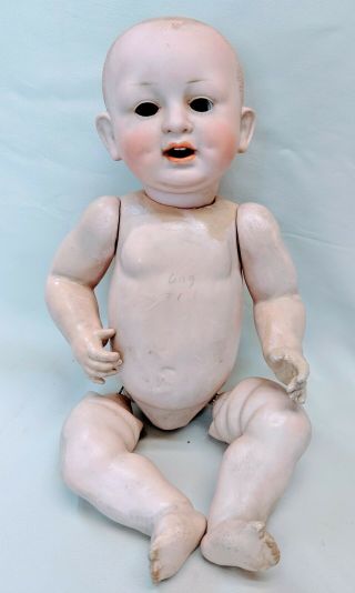 Antique 14 " German Bisque Head Catterfelder Puppenfabrik Character Toddler Doll