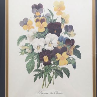 Vintage Pierre - Joseph Redouté Bouquet de Pensees Print 097 Victor 11 