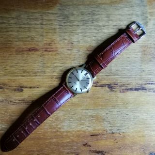 Vintage Rotary Mens Watch 5