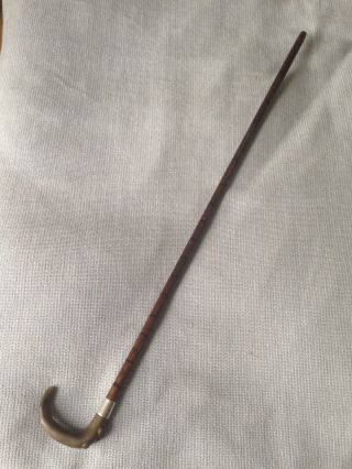 Antique Hallmarked Birmingham Silver Bovine Horn Crook Top Walking Stick - 88cm 4