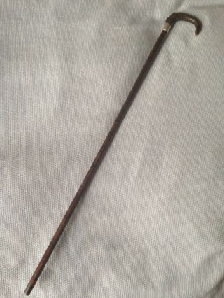 Antique Hallmarked Birmingham Silver Bovine Horn Crook Top Walking Stick - 88cm 5