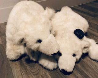 Polar Bears Klondike And Snow Born At The Denver Zoo In 1995 Stuffed Animals.