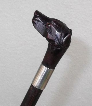 Antique Black Forest Carved Wood Dogs Head Walking Stick Cane C.  1890