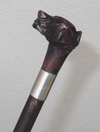 ANTIQUE BLACK FOREST CARVED WOOD DOGS HEAD WALKING STICK CANE c.  1890 2