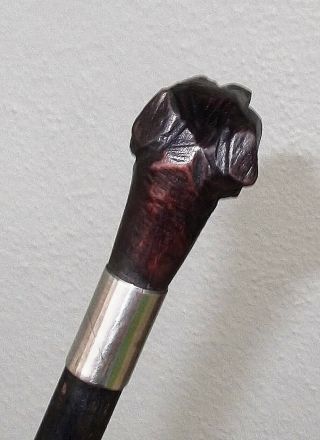 ANTIQUE BLACK FOREST CARVED WOOD DOGS HEAD WALKING STICK CANE c.  1890 3