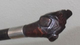 ANTIQUE BLACK FOREST CARVED WOOD DOGS HEAD WALKING STICK CANE c.  1890 6