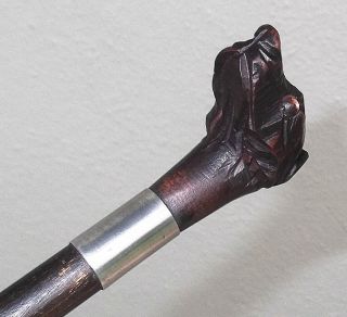 ANTIQUE BLACK FOREST CARVED WOOD DOGS HEAD WALKING STICK CANE c.  1890 8