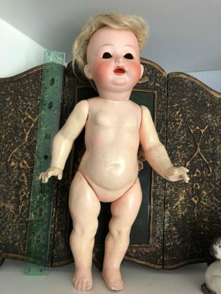 Antique Bisque Head Doll Heubach Germany On Rare Toddler Body Needs Eyes