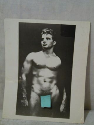 Vintage Vince Edwards Nude Black & White Photograph Picture Print 8x10