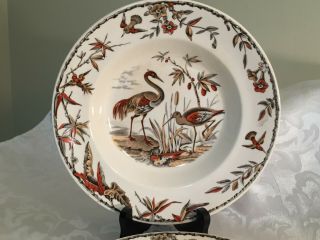 2 Antique Ridgways Indus 9 1/4 " Soup Bowls 1877 Polychrome Birds