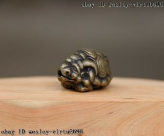 China Copper Bronze Feng Shui Sheep Head Turtle Tortoise Animal Pendant T025