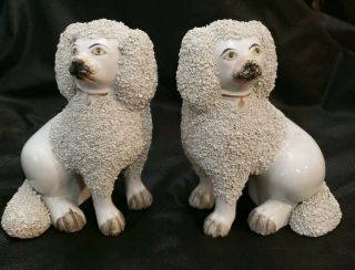 Antique Staffordshire Porcelain Confetti Poodle Dogs Figurines 5 "